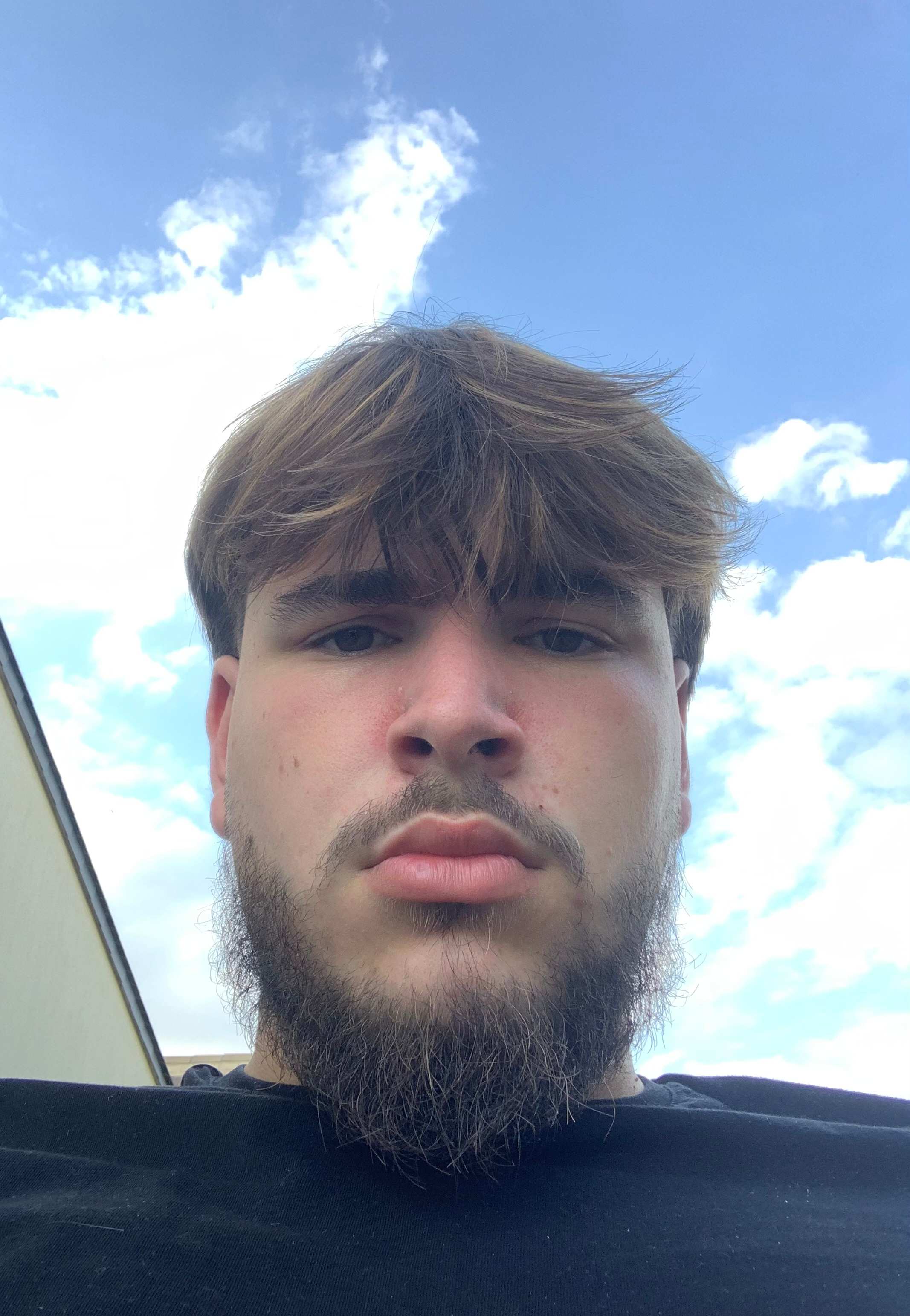 no title - source : affiche_image.php?id=976